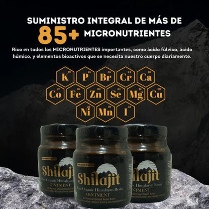 !Renueva tu energía y vitalidad con Shilajit!